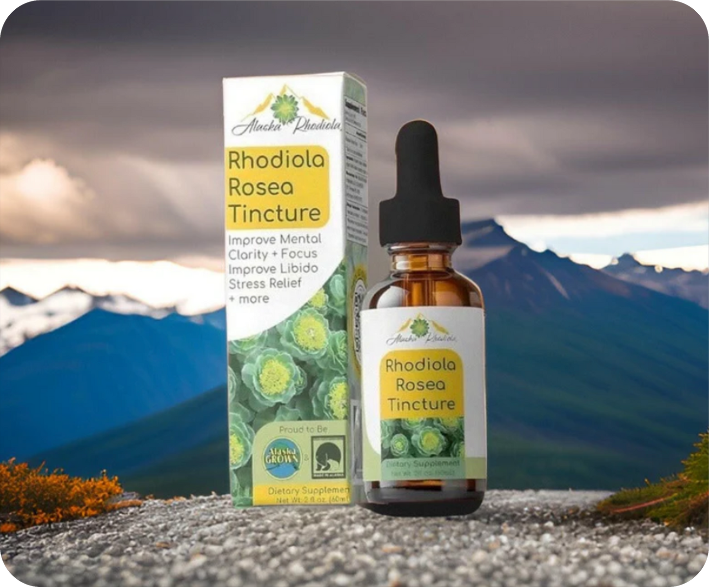 Tintura de Rhodiola Rosea – Apoyo Natural para el Estrés y la Energía (2 oz)
