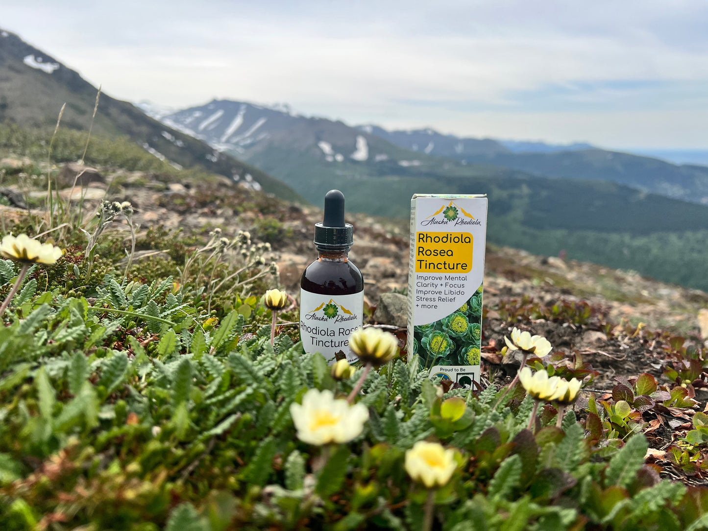 Tintura de Rhodiola Rosea – Apoyo Natural para el Estrés y la Energía (2 oz)