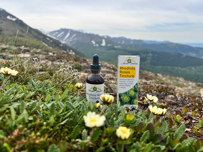 Tintura de Rhodiola Rosea – Apoyo Natural para el Estrés y la Energía (2 oz)
