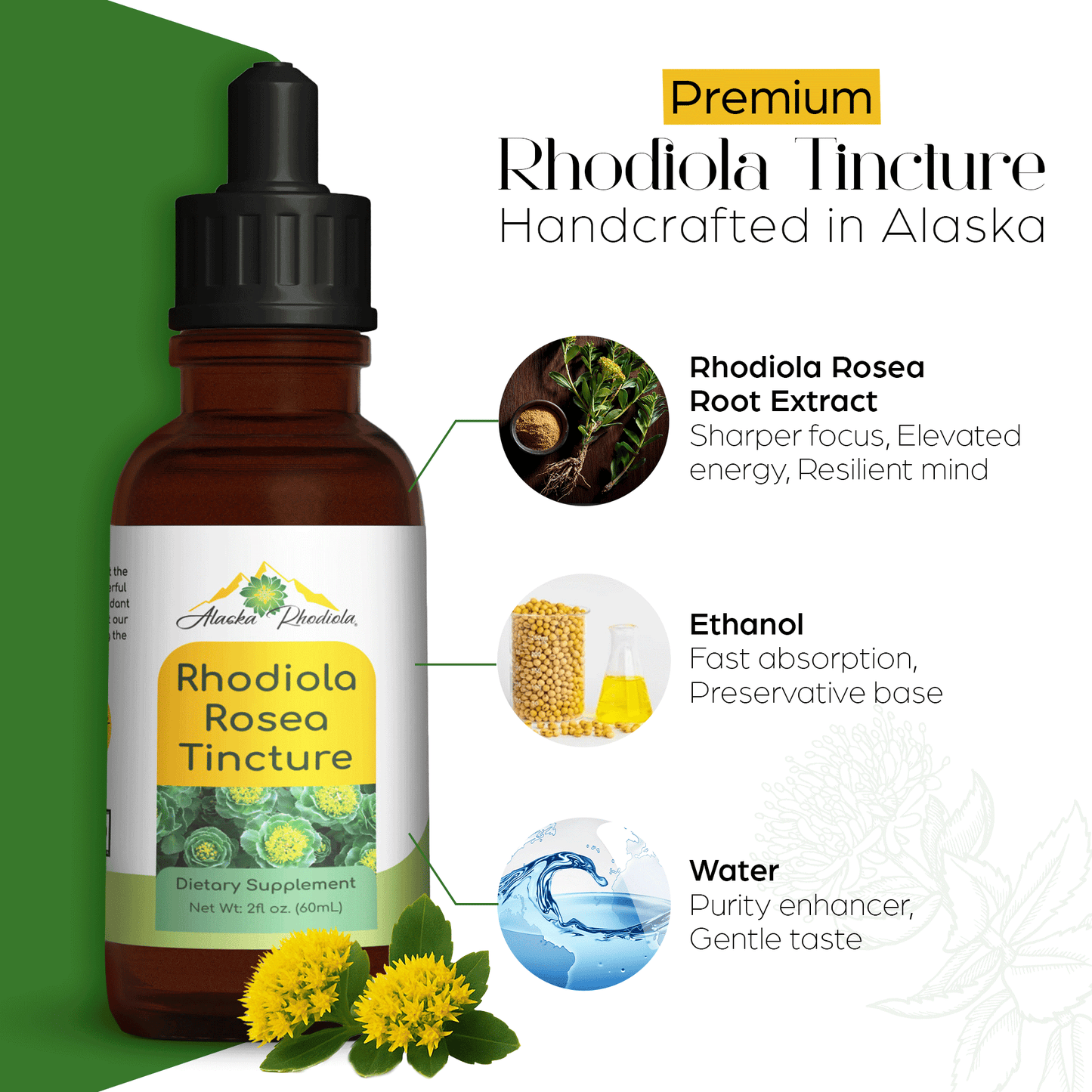 Tintura de Rhodiola Rosea – Apoyo Natural para el Estrés y la Energía (2 oz)